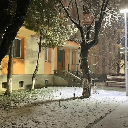 Twin Apartments Sibiu Dış mekan fotoğraf