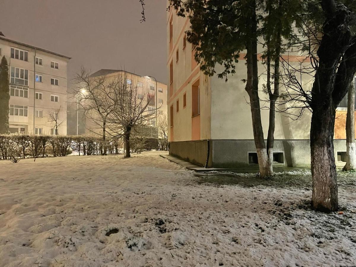 Twin Apartments Sibiu Dış mekan fotoğraf